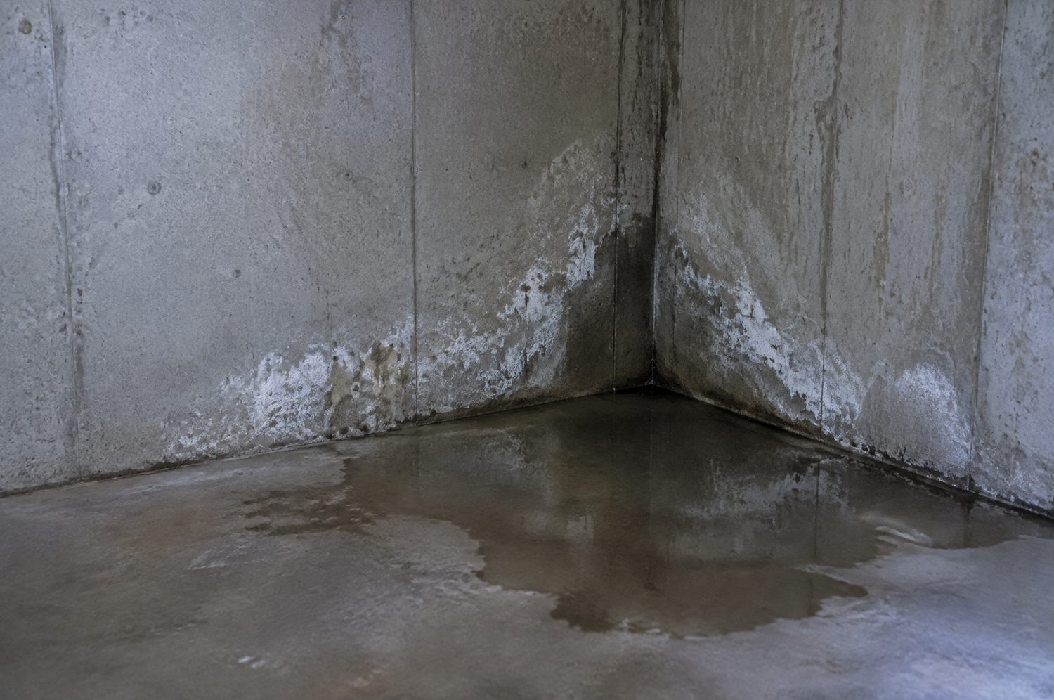 Water seeping into the corner of a Charlotte, NC basement that needs waterproofing